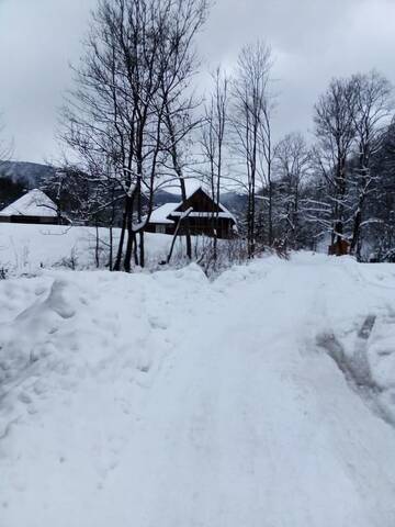 Фото Мотели Cottage Лісовий г. Bukovets 4