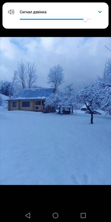 Фото Мотели Cottage Лісовий г. Bukovets 2