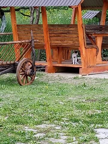 Фото номера Дом для отпуска Дома для отпуска Верховинський котедж г. Bukovets 43